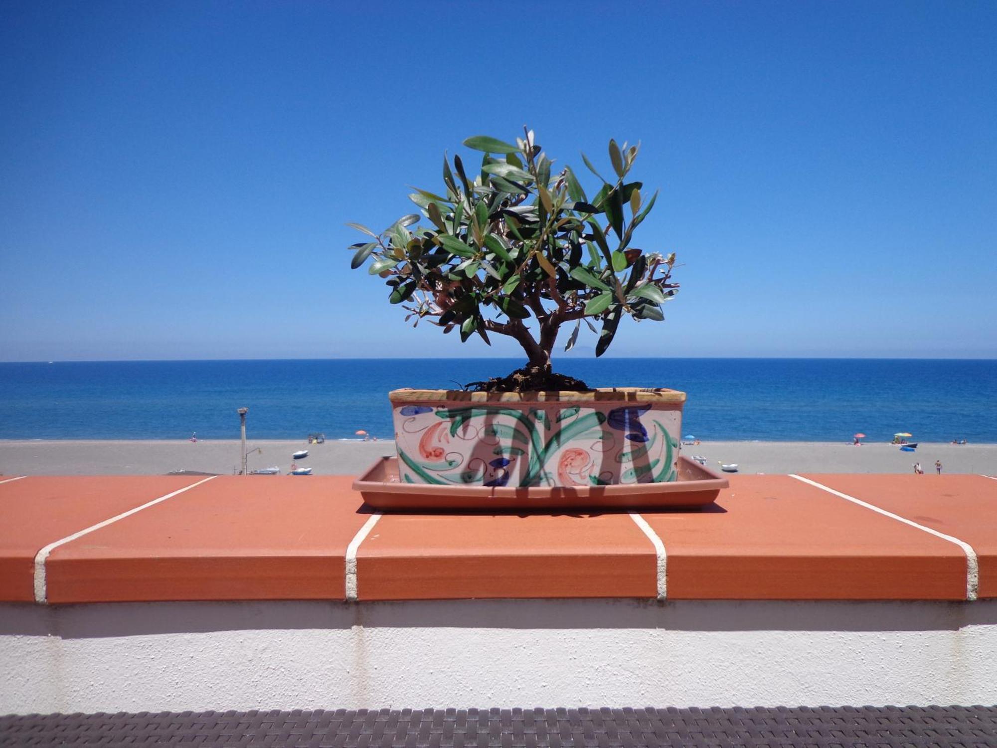 Vacanze Al Mare Patrizia'S Sweet Home Terme Vigliatore Εξωτερικό φωτογραφία